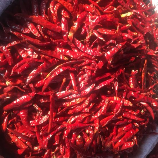 Dried Hot Red Peppers