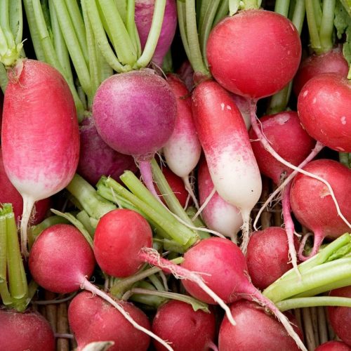 Early Variety