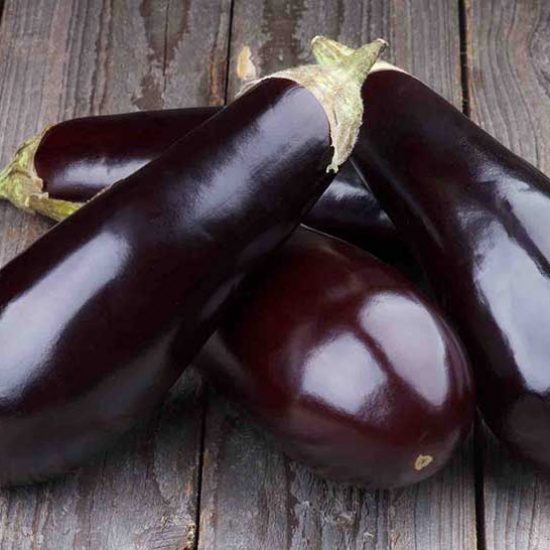Eggplant Diamond F1