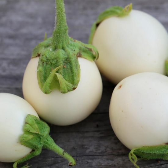 Eggplant Ping Pong F1