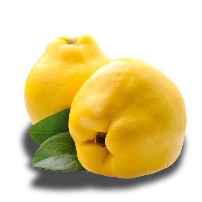 Ekmek Quinces
