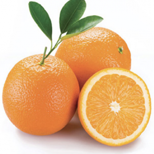 Jaffa Oranges