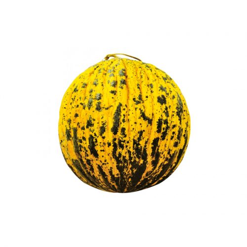 Kirkagac Melons