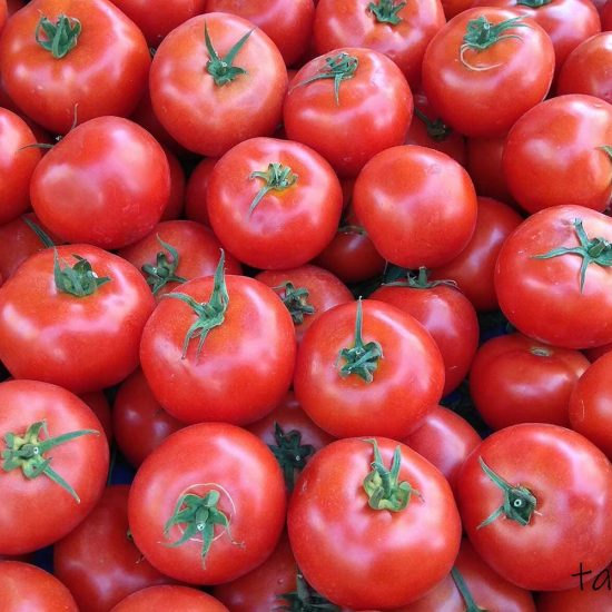 Oturak Tomatoes Sadiq F1