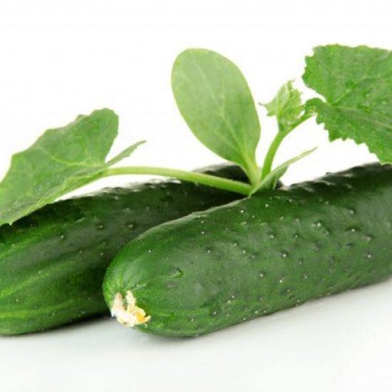 Pickled Cucumbers Zozulya