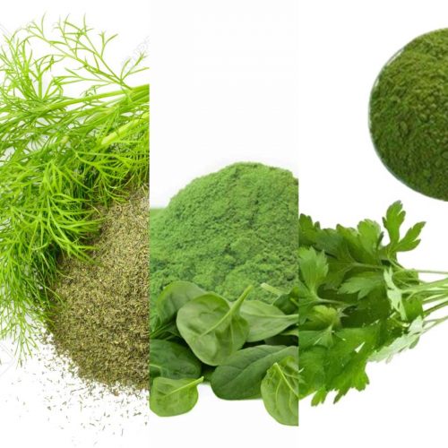 Powdered Vegetable Greens