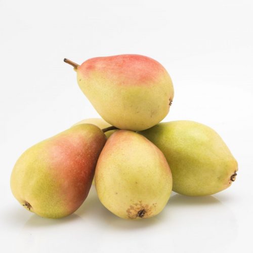 Santa Maria Pears