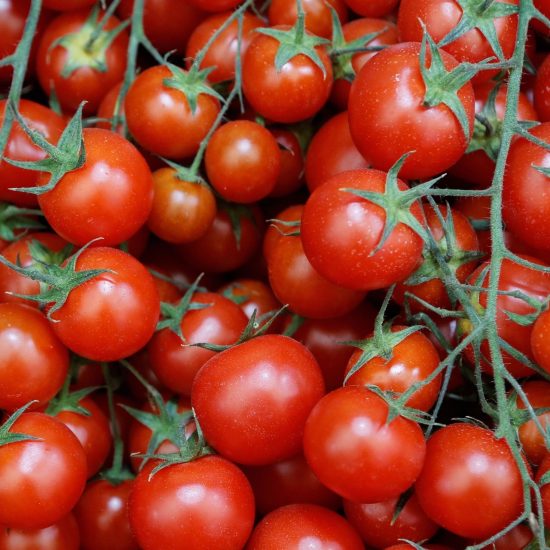 Tomatoes On A Branch