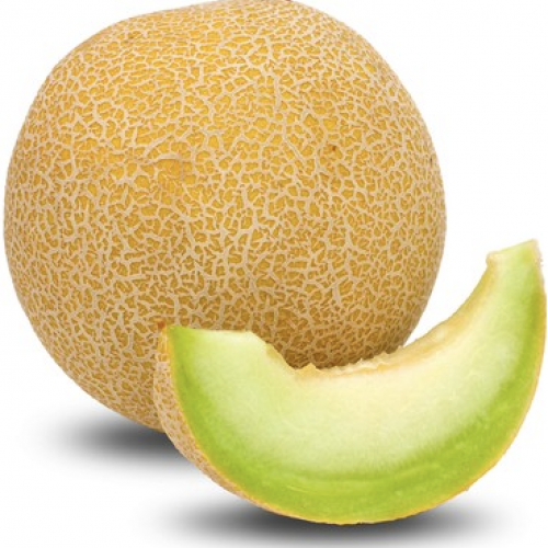 Topatan Melons