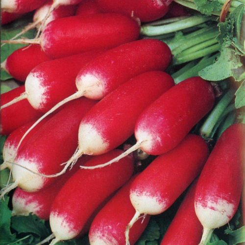 Turp Fransız Kahvaltısı