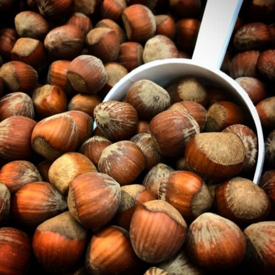 Unpeeled Raw Hazelnuts