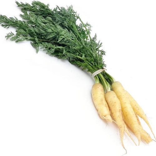 White Carrot