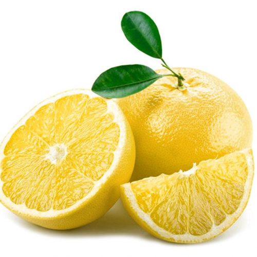 White Marsh Seedless Grapefruits