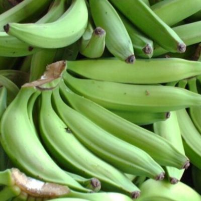 Wholesale Bananas