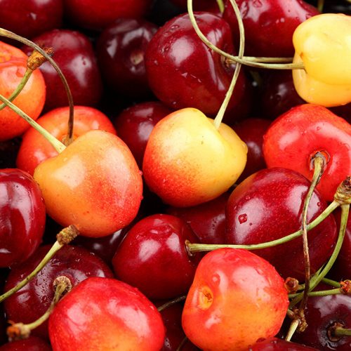 Wholesale Cherries