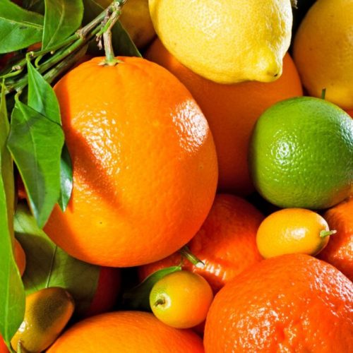Wholesale Citrus