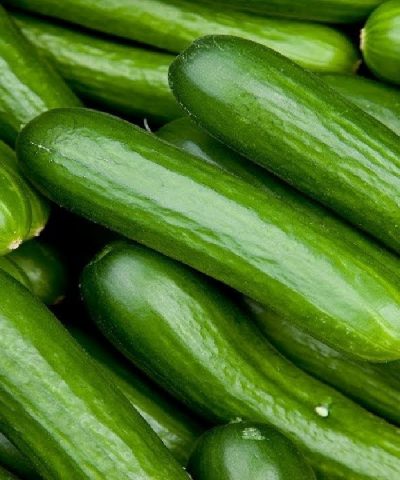 Wholesale Cucumbers