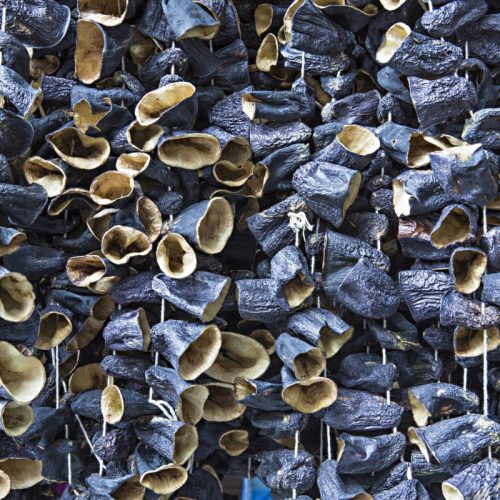 Wholesale-Dried-Vegetables-From-Turkey-6.jpeg