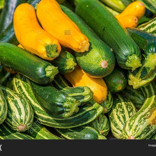 Wholesale Zucchinis