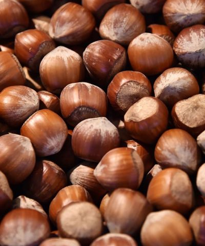 Wholesale Hazelnuts