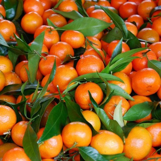 Wholesale Kumquats