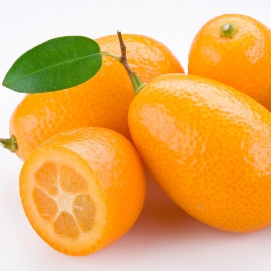 Wholesale Kumquats