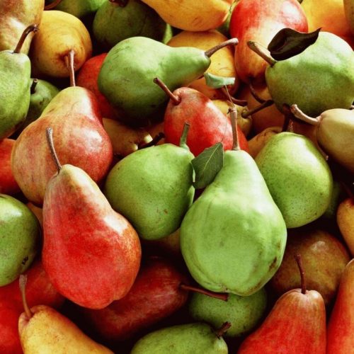 Wholesale Pears