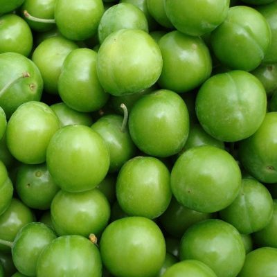 Wholesale Plums 3 Wholesale Plums