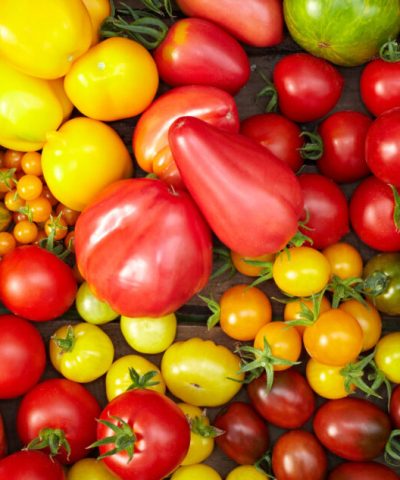 Wholesale-Tomatoes-From-Turkey-e1631109158359.jpeg