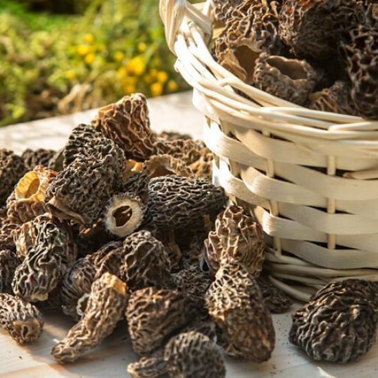 dried lamb belly mushrooms