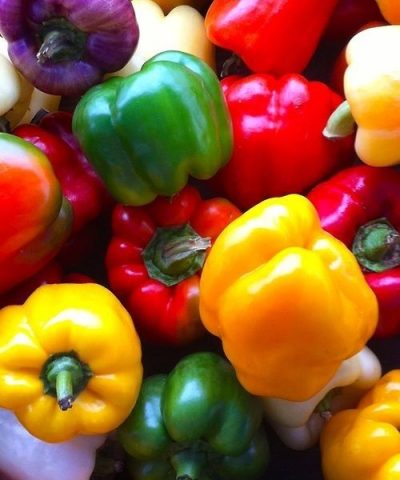 Wholesale Peppers