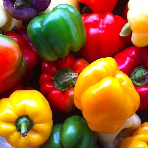 Wholesale Peppers