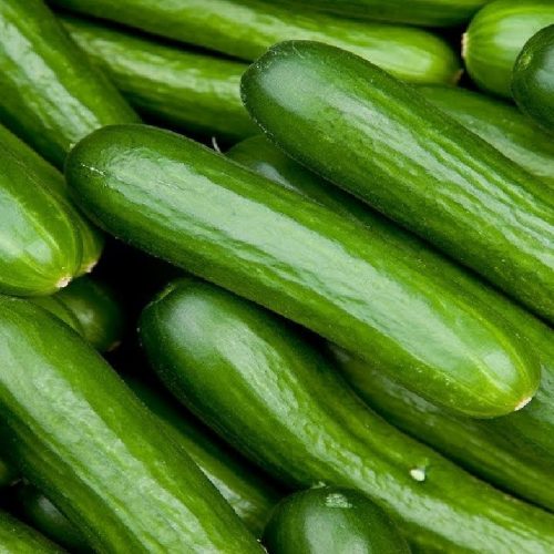 wholesale-vegetables-from-turkey-2.jpeg