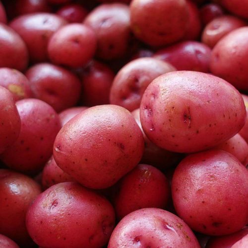 Красный Картофель Оптом